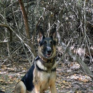 Meet your Posher, Travis